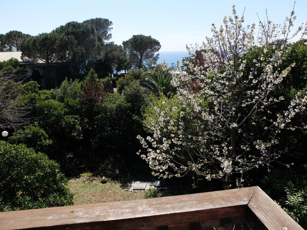B&B Verde Sul Mare อาเรนซาโน ภายนอก รูปภาพ